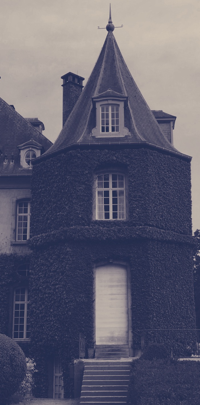 BSC Conseil - conseiller financier - statégie et optimisation fiscale